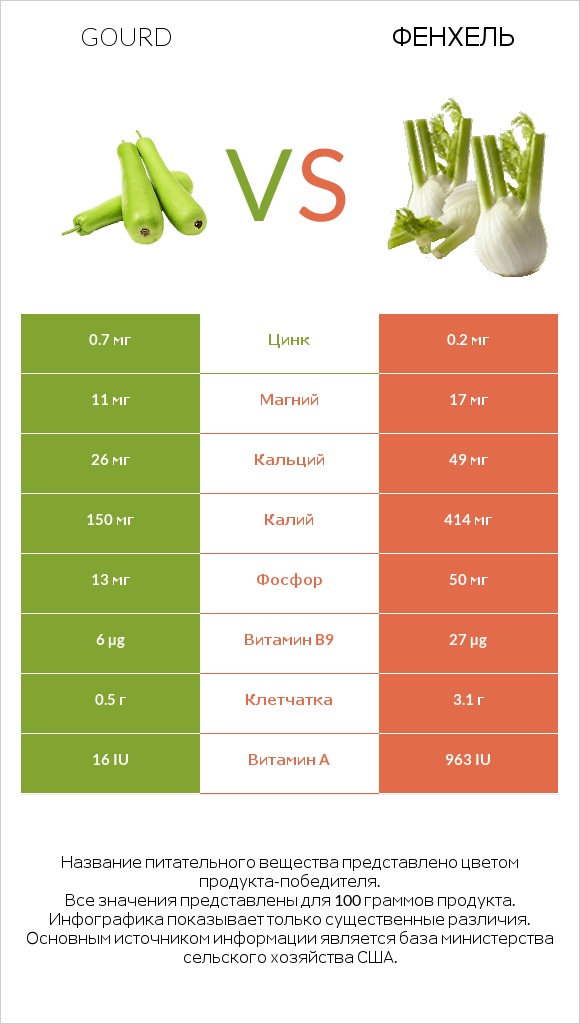 Gourd vs Фенхель infographic