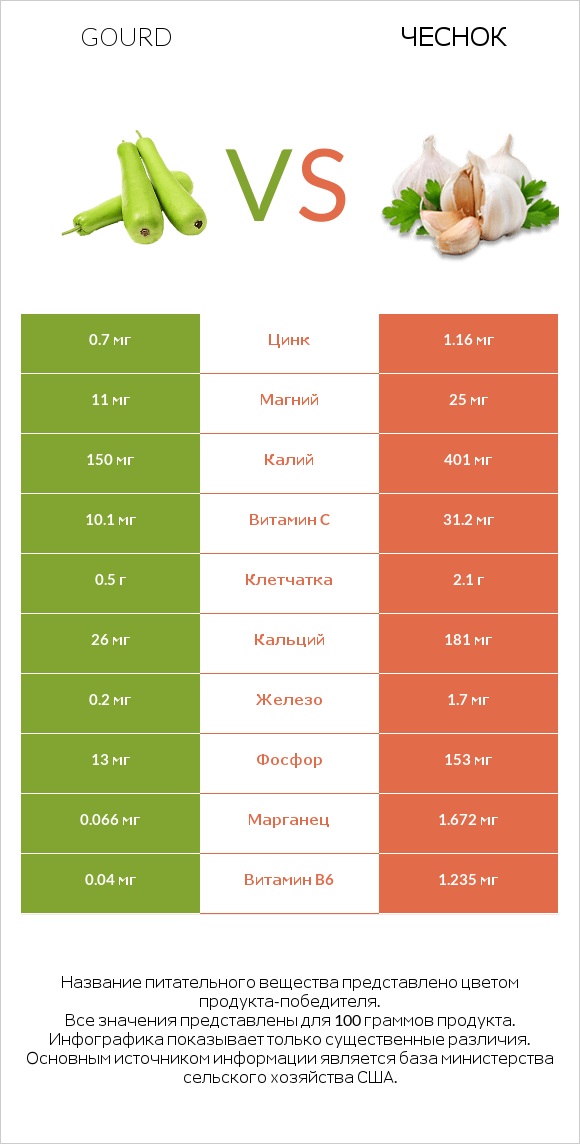 Gourd vs Чеснок infographic