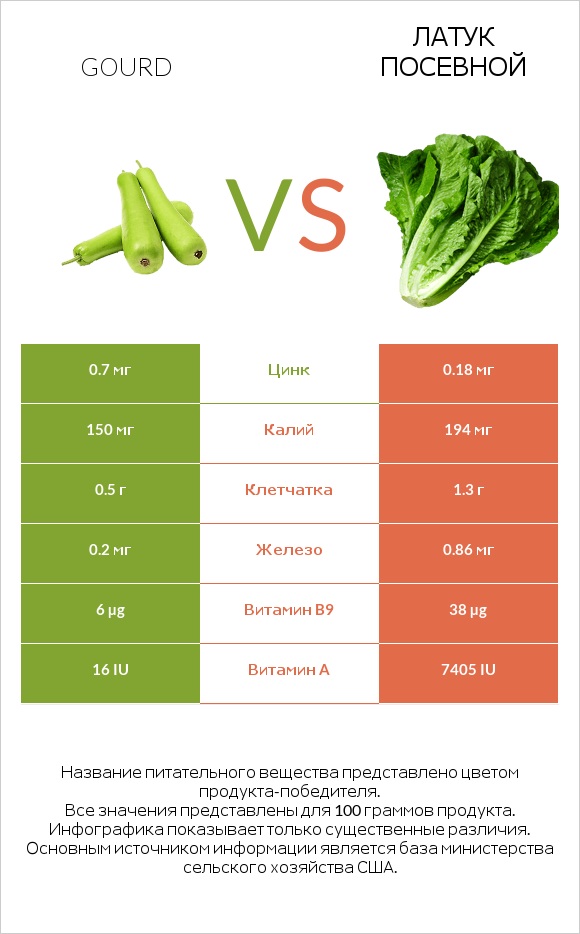 Gourd vs Латук посевной infographic