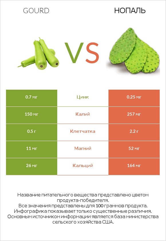 Gourd vs Нопаль infographic