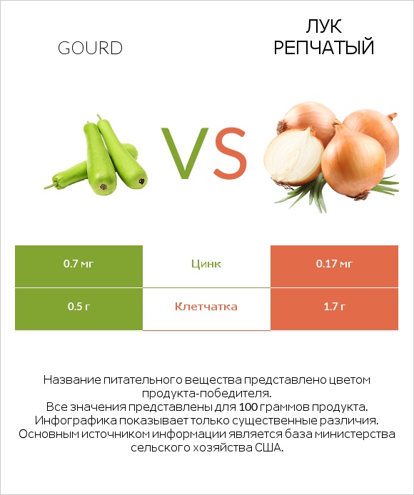 Gourd vs Лук репчатый infographic