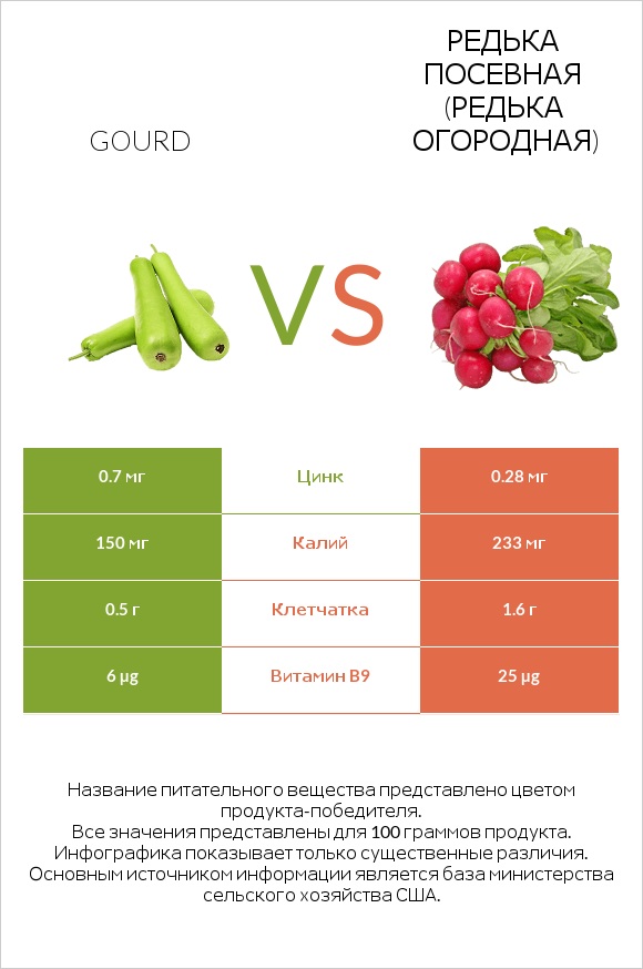 Gourd vs Редька посевная (Редька огородная) infographic