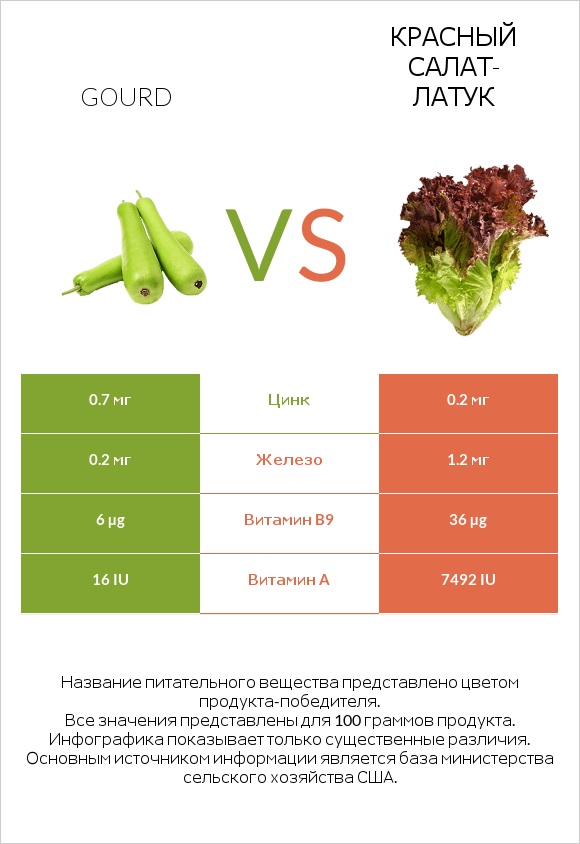 Gourd vs Красный салат-латук infographic