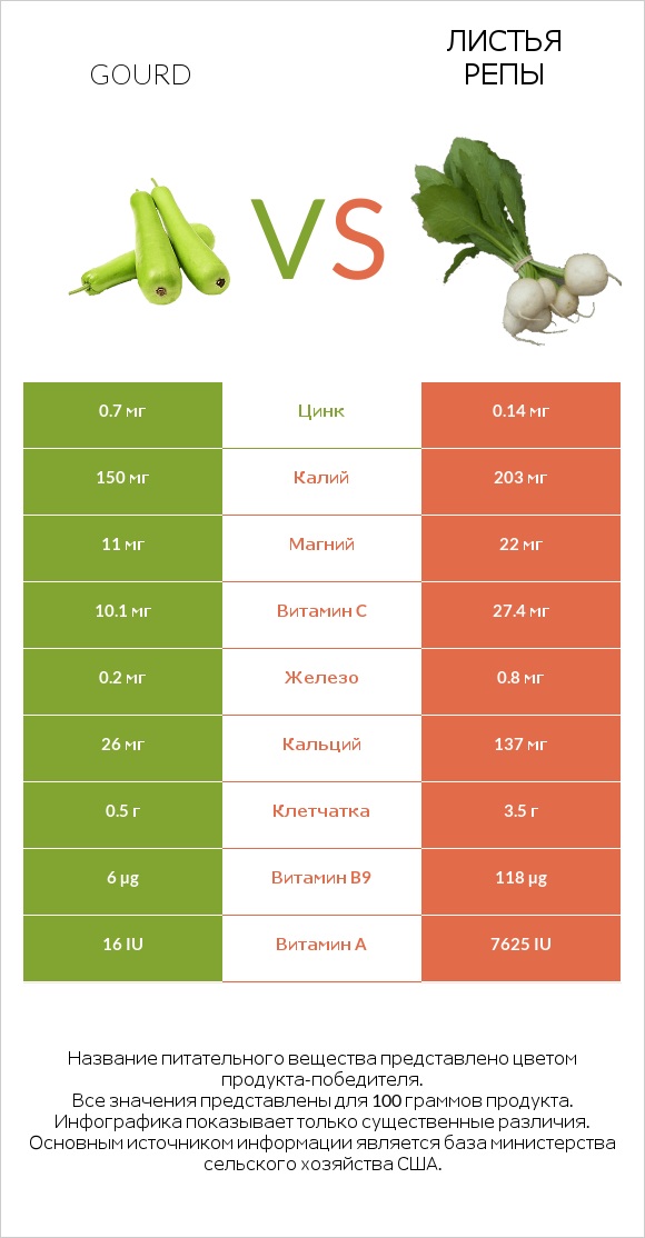 Gourd vs Листья репы infographic