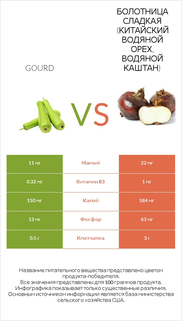 Gourd vs Болотница сладкая (Китайский водяной орех, водяной каштан) infographic