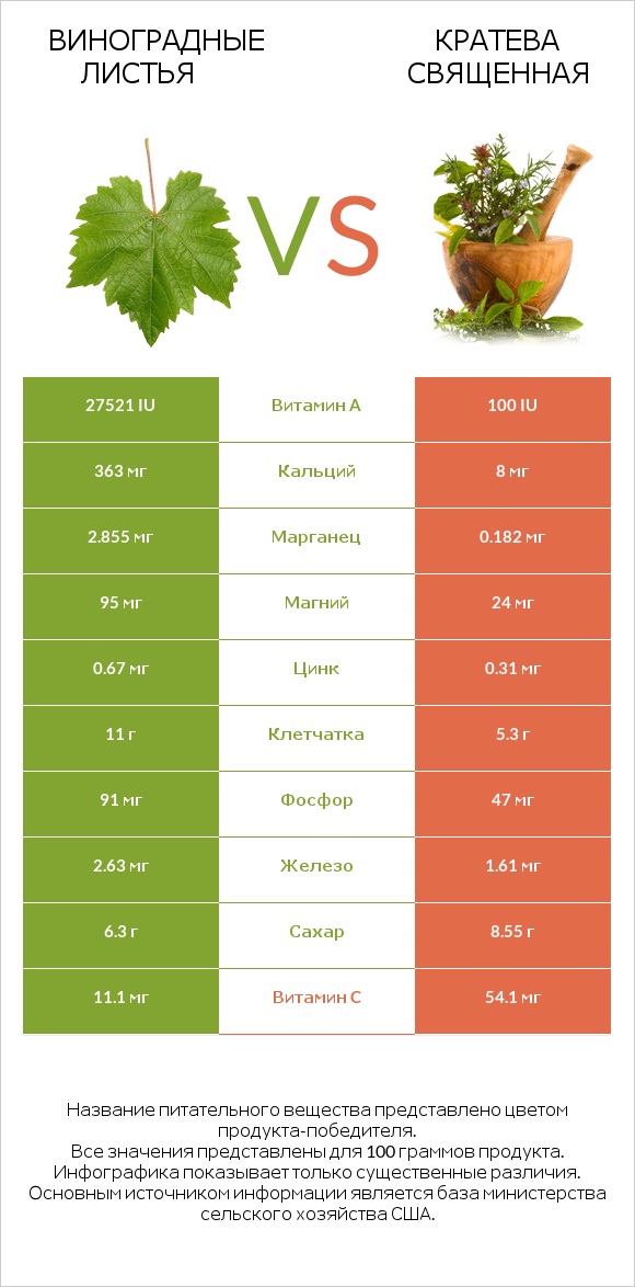 Виноградные листья vs Кратева священная infographic