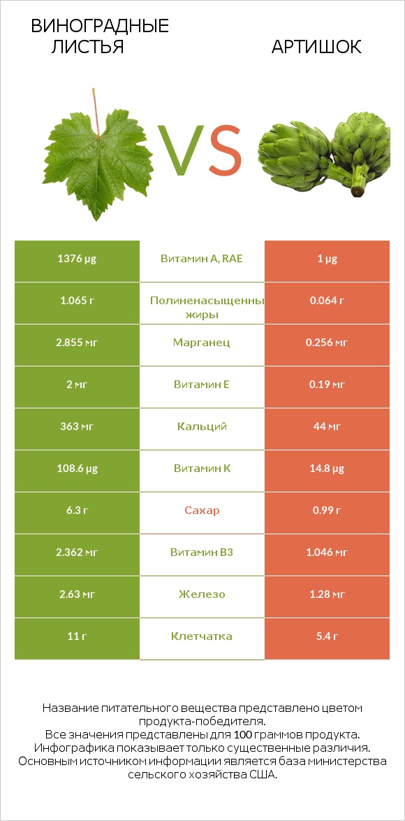 Виноградные листья vs Артишок infographic
