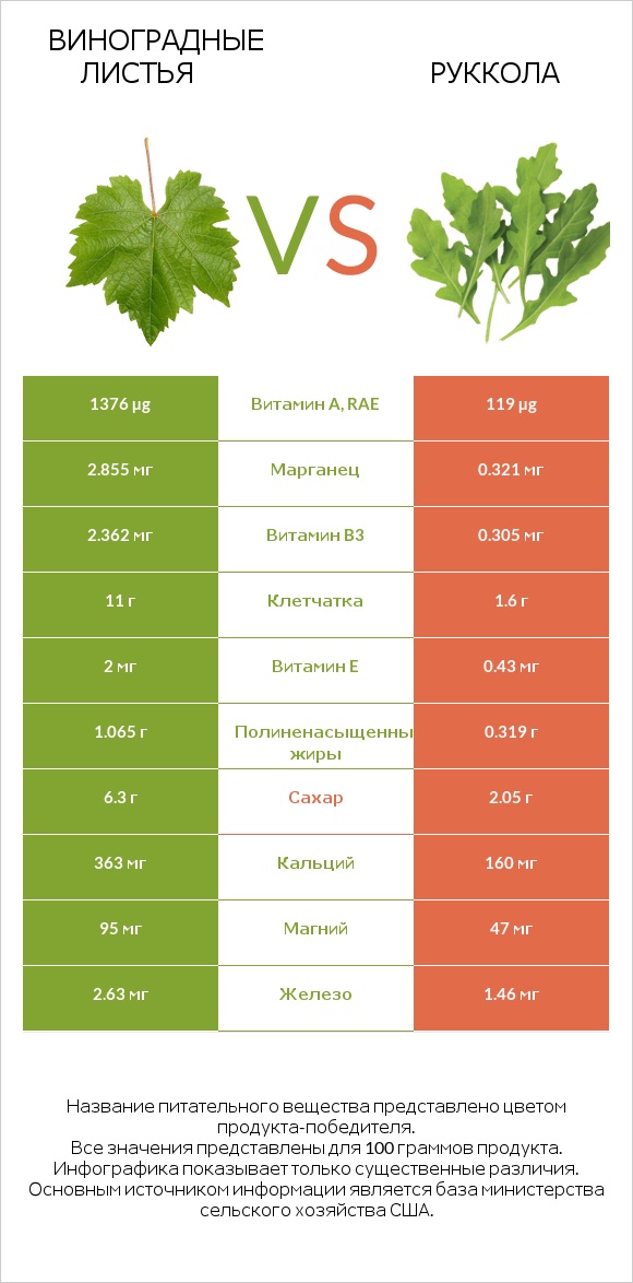 Виноградные листья vs Руккола infographic