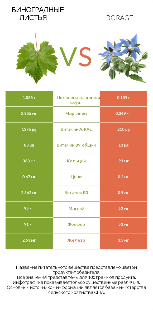 Виноградные листья vs Borage infographic