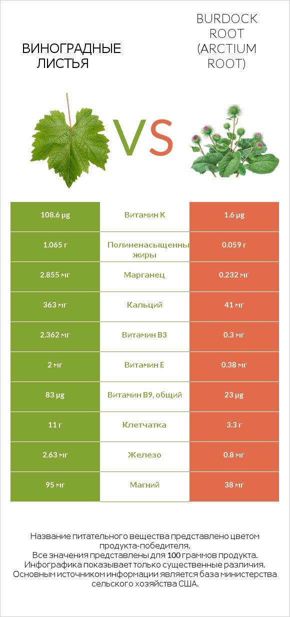Виноградные листья vs Burdock root infographic