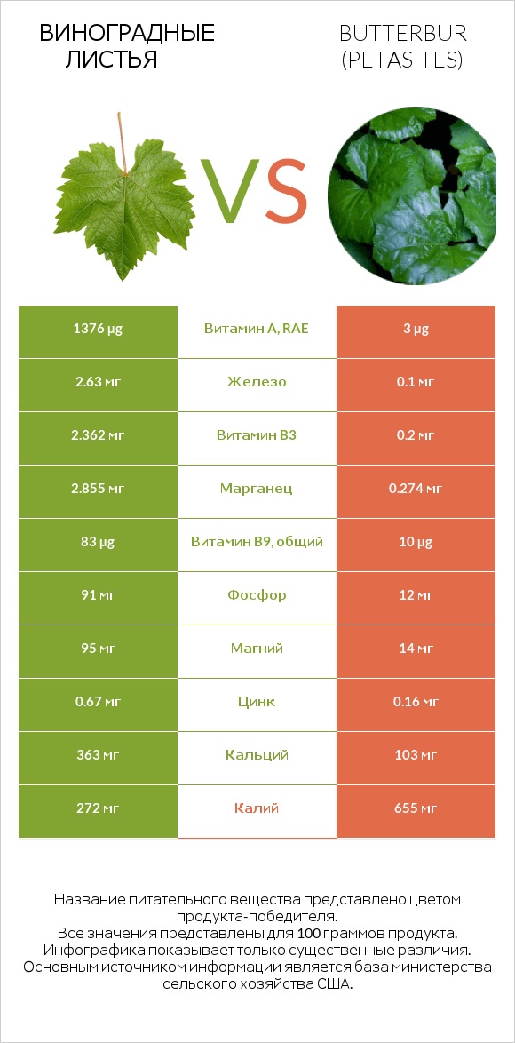 Виноградные листья vs Butterbur infographic