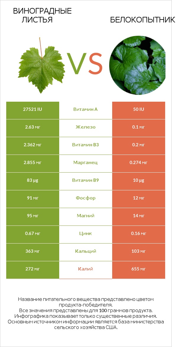 Виноградные листья vs Белокопытник infographic