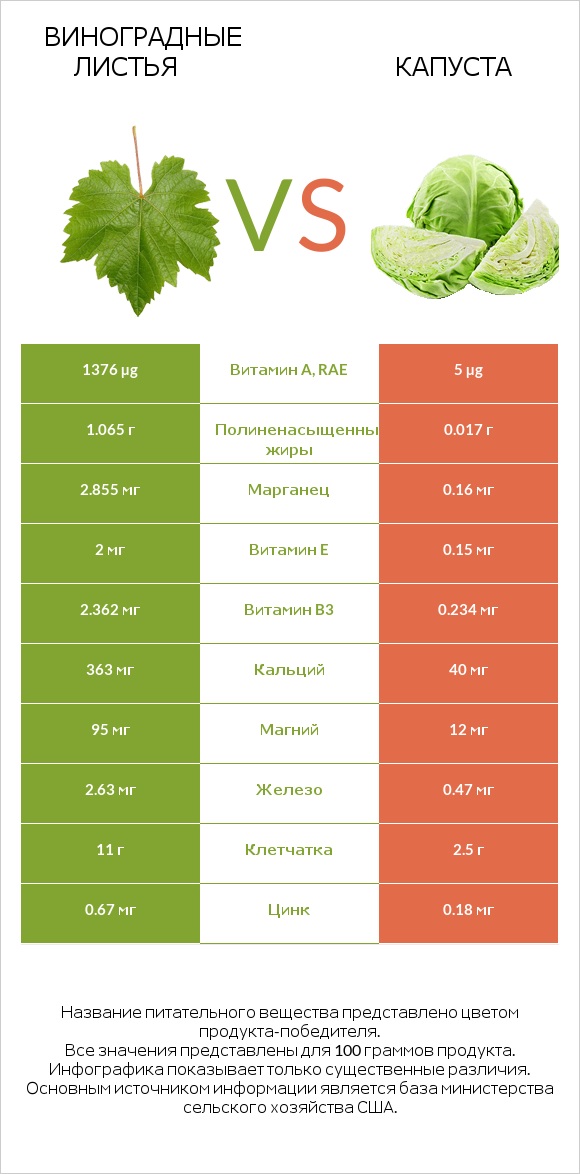 Виноградные листья vs Капуста infographic
