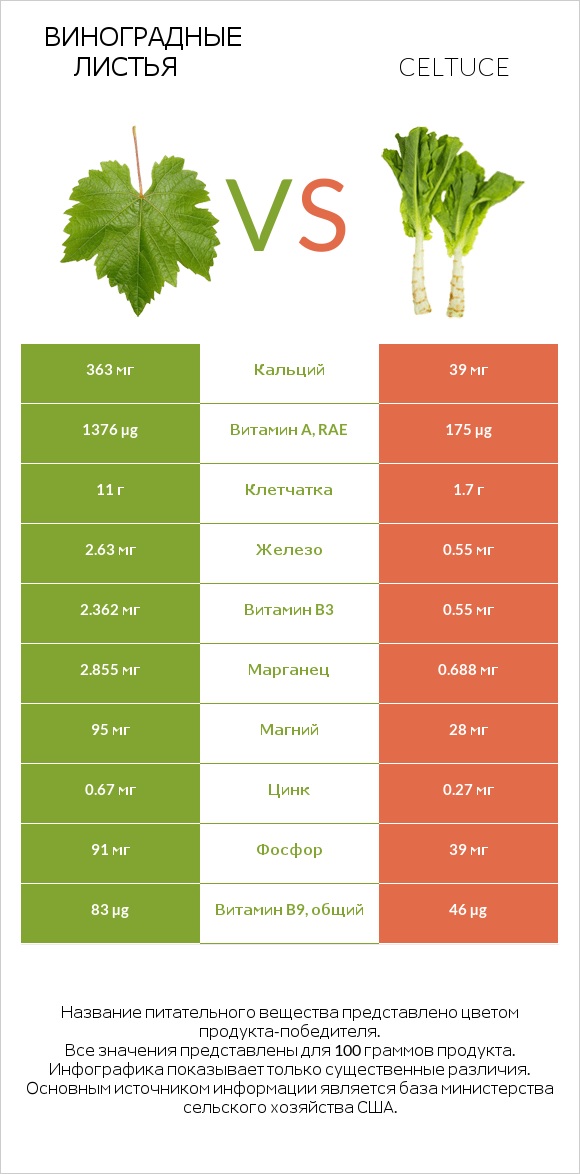Виноградные листья vs Celtuce infographic