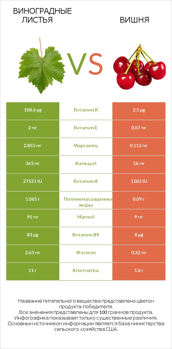 Виноградные листья vs Вишня infographic