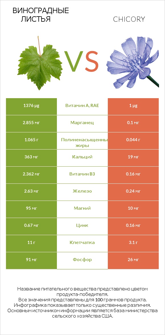 Виноградные листья vs Chicory infographic