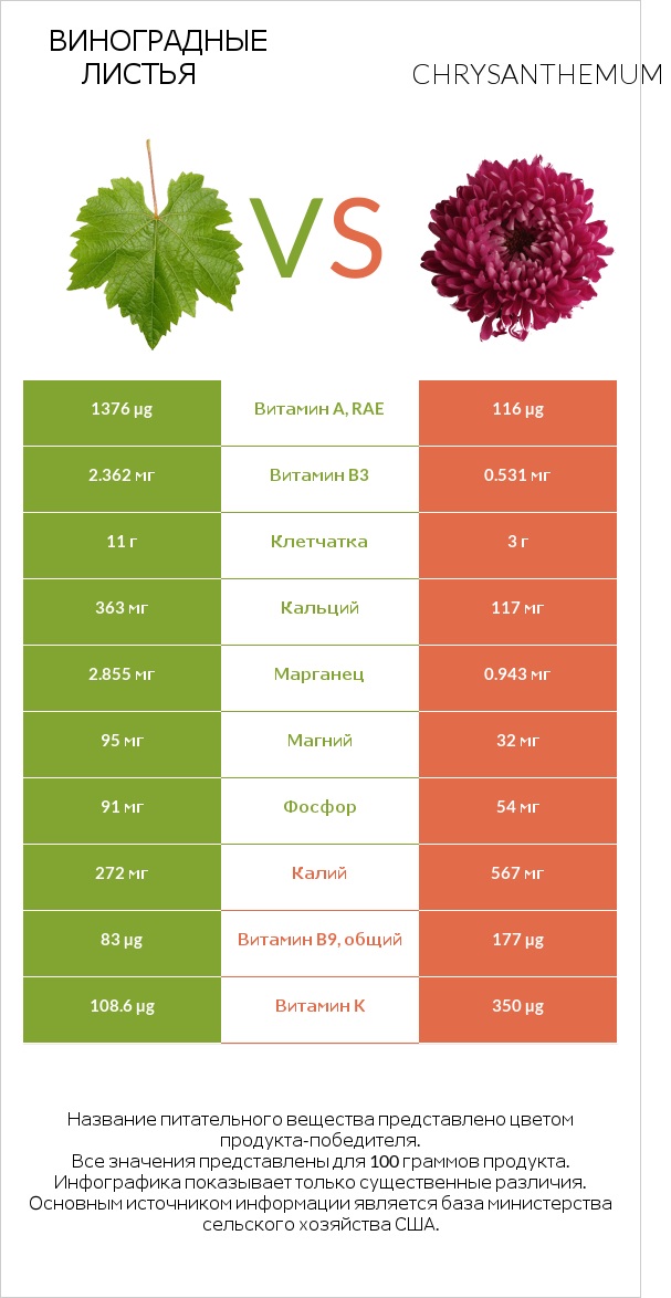 Виноградные листья vs Chrysanthemum infographic
