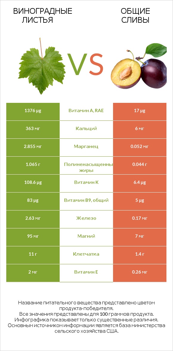 Виноградные листья vs Слива infographic