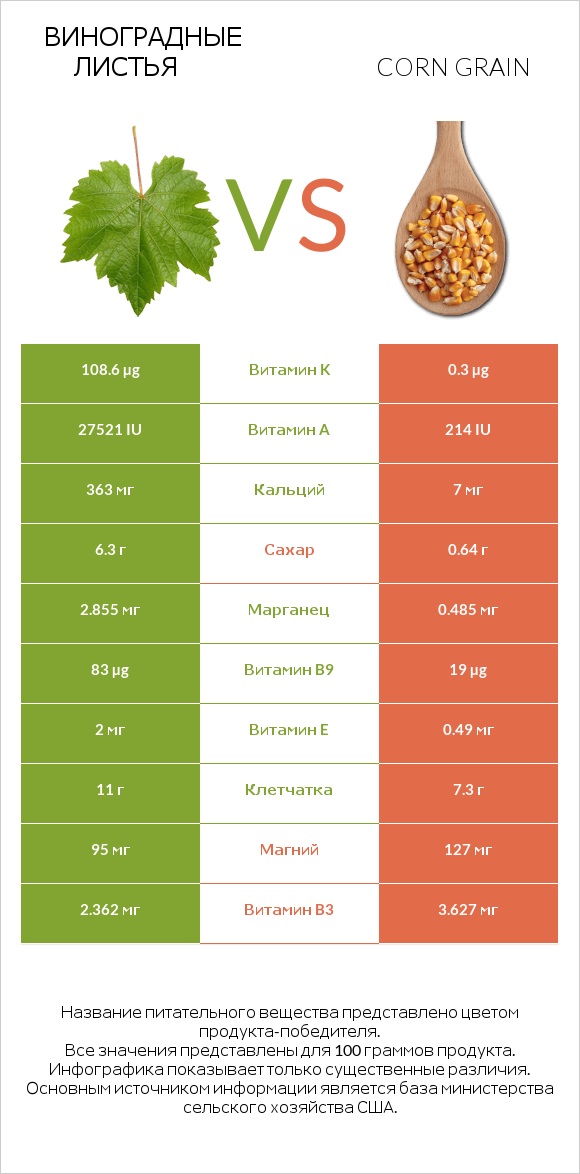 Виноградные листья vs Corn grain infographic