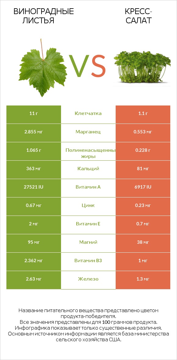 Виноградные листья vs Кресс-салат infographic