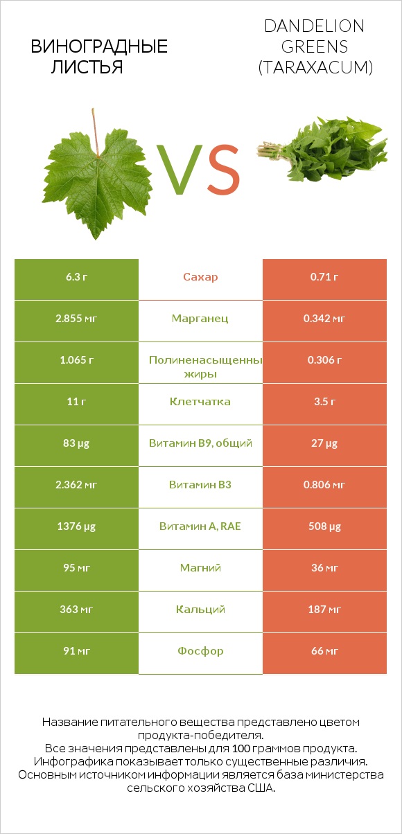 Виноградные листья vs Dandelion greens infographic