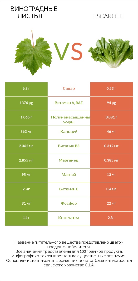 Виноградные листья vs Escarole infographic