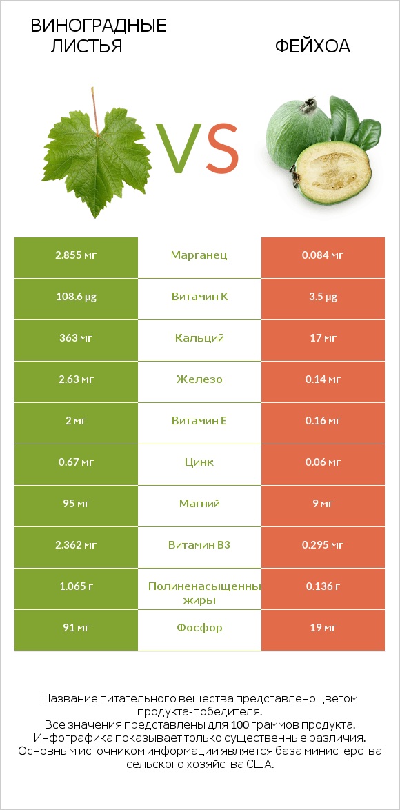 Виноградные листья vs Фейхоа infographic