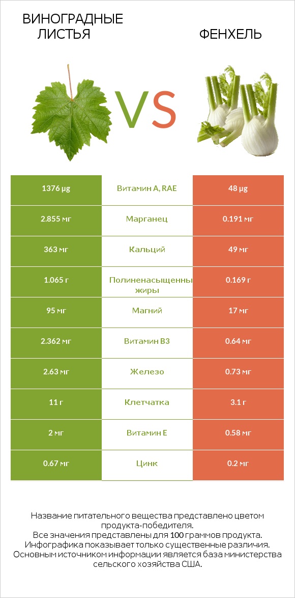 Виноградные листья vs Фенхель infographic