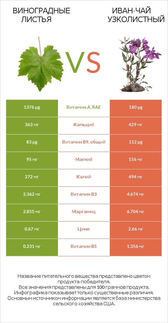 Виноградные листья vs Иван-чай узколистный infographic