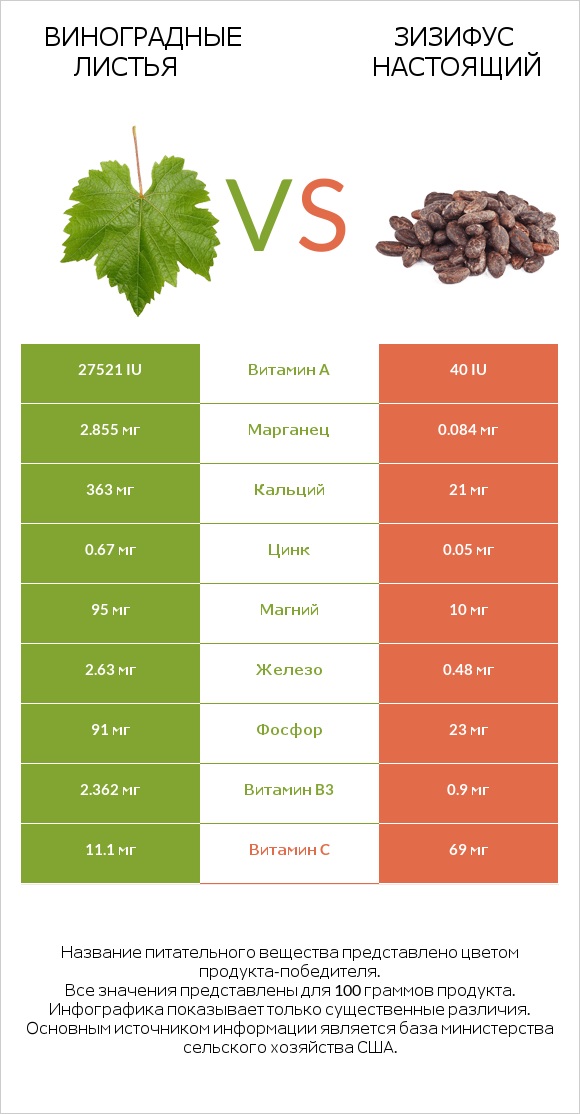 Виноградные листья vs Зизифус настоящий infographic