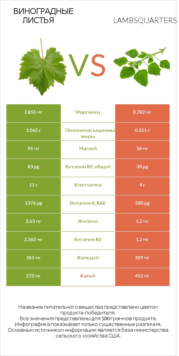 Виноградные листья vs Lambsquarters infographic