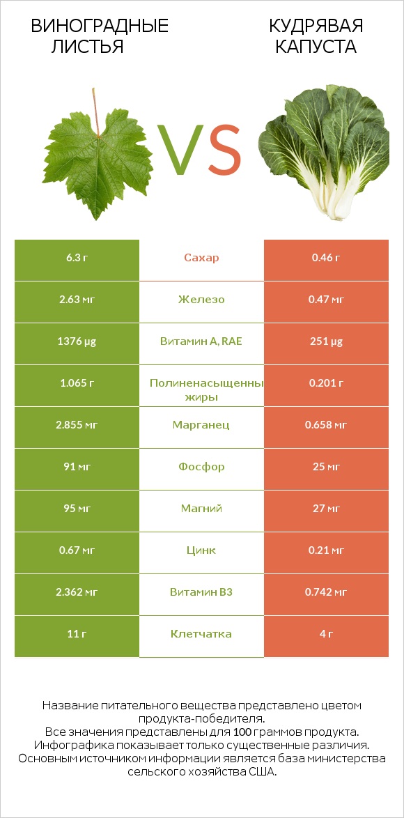 Виноградные листья vs Кудрявая капуста infographic