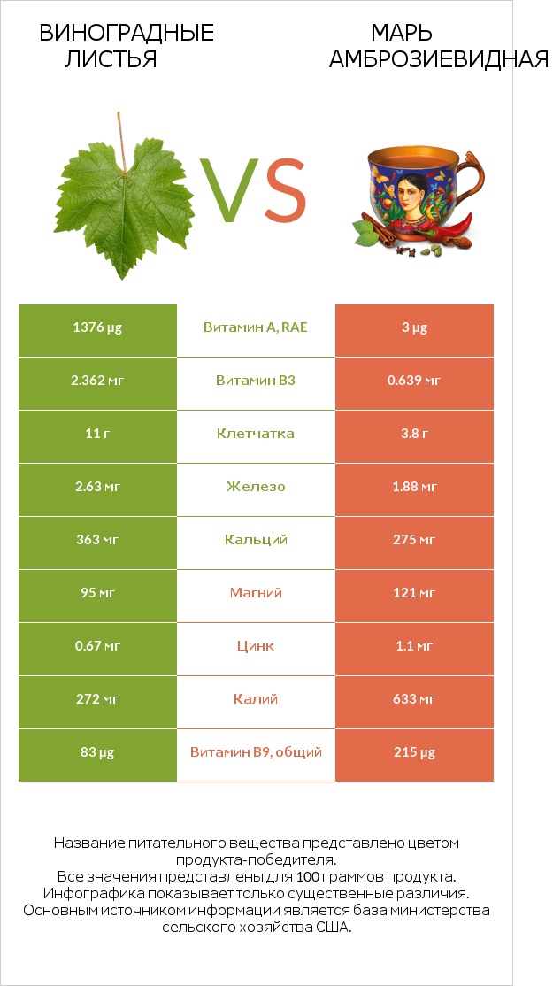 Виноградные листья vs Марь амброзиевидная infographic