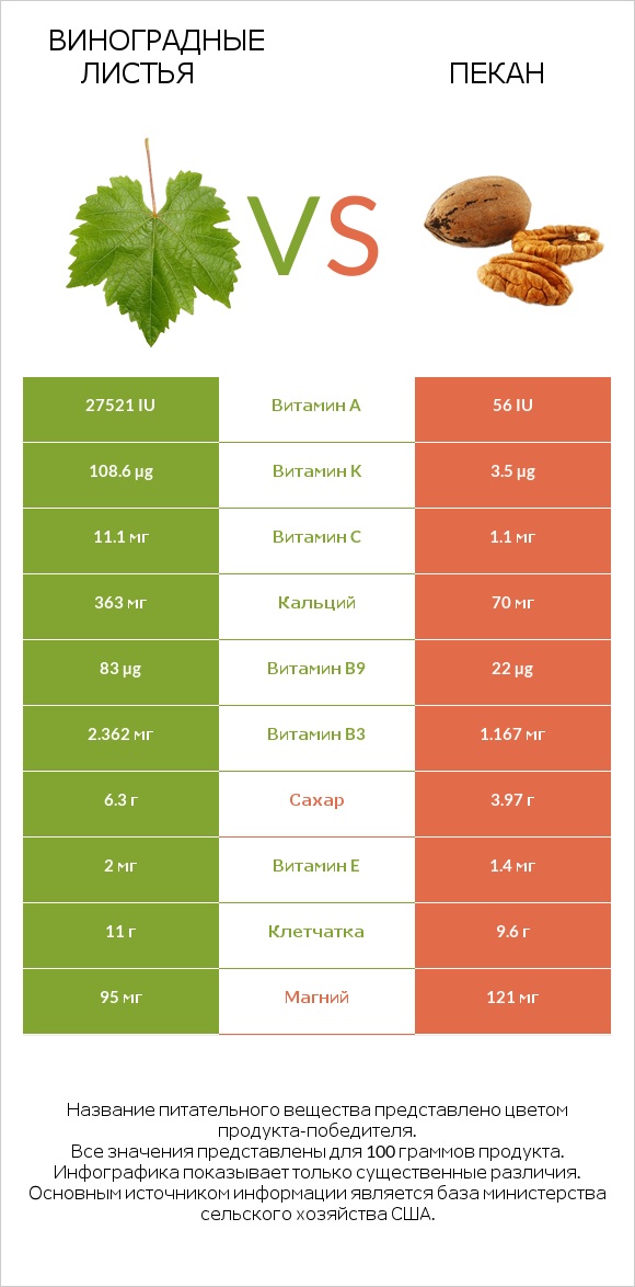 Виноградные листья vs Пекан infographic