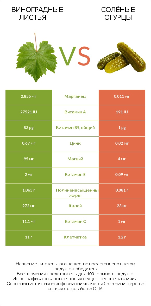 Виноградные листья vs Солёные огурцы infographic