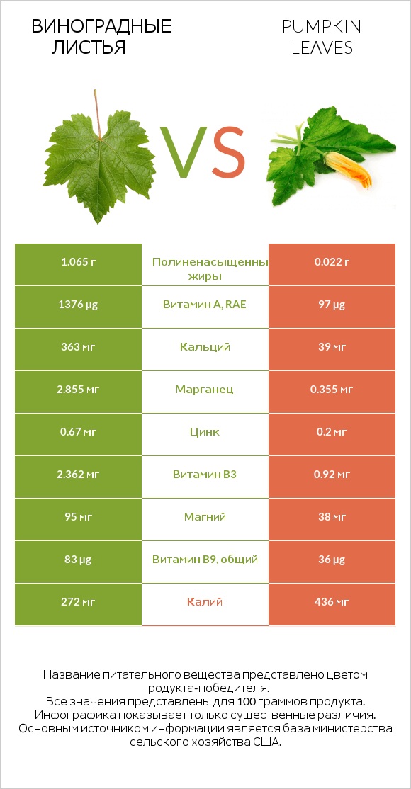 Виноградные листья vs Pumpkin leaves infographic