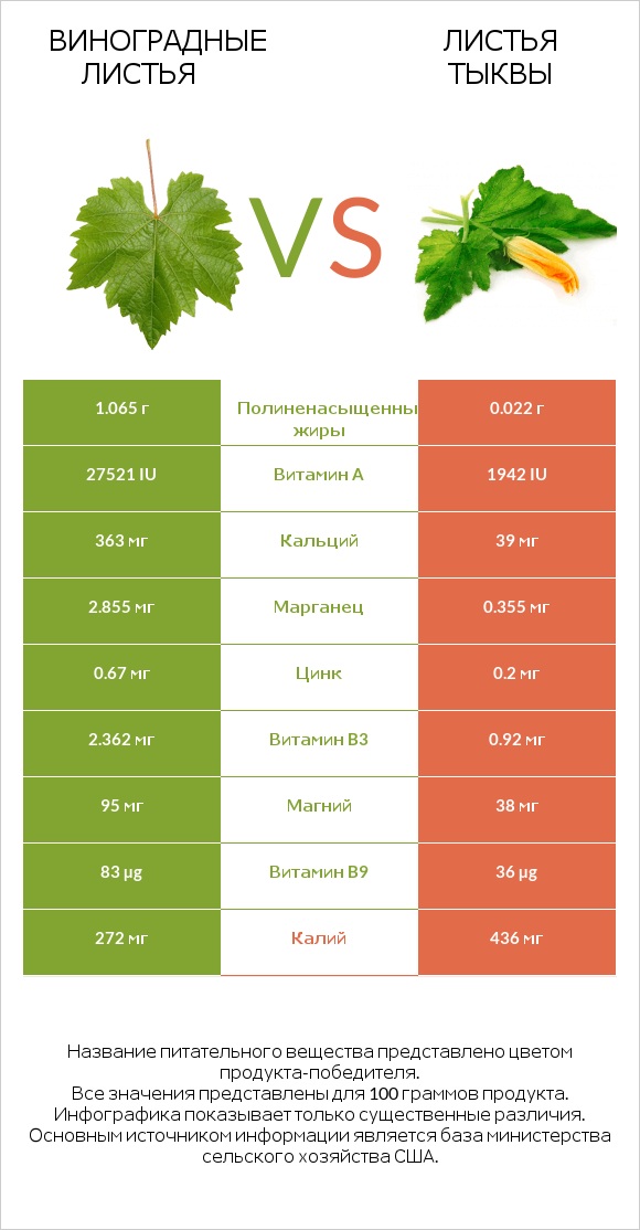 Виноградные листья vs Pumpkin leaves infographic