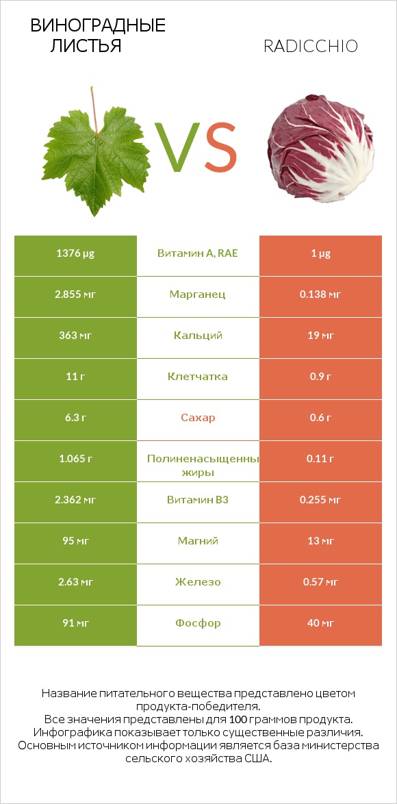 Виноградные листья vs Radicchio infographic