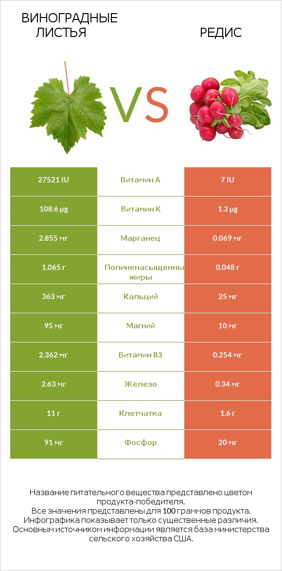 Виноградные листья vs Редис infographic