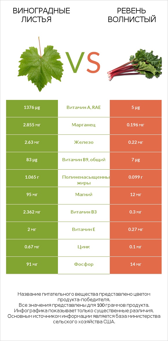 Виноградные листья vs Ревень волнистый infographic