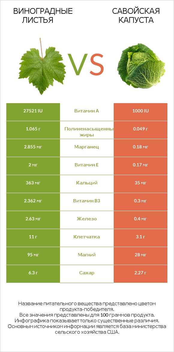 Виноградные листья vs Савойская капуста infographic