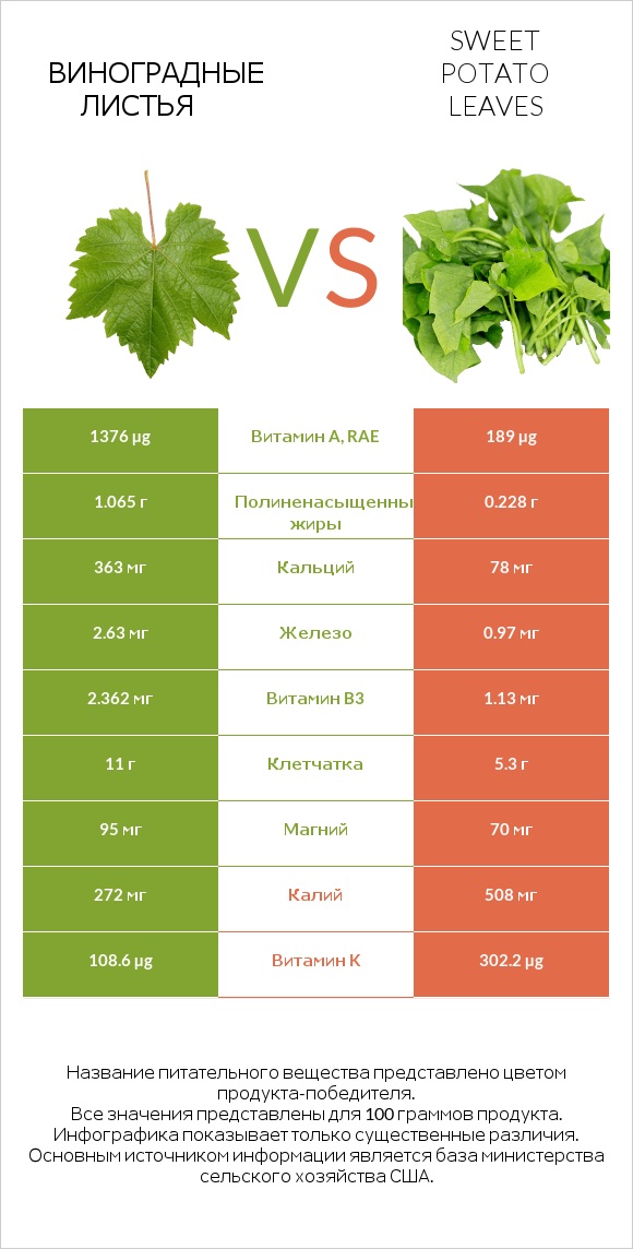 Виноградные листья vs Sweet potato leaves infographic