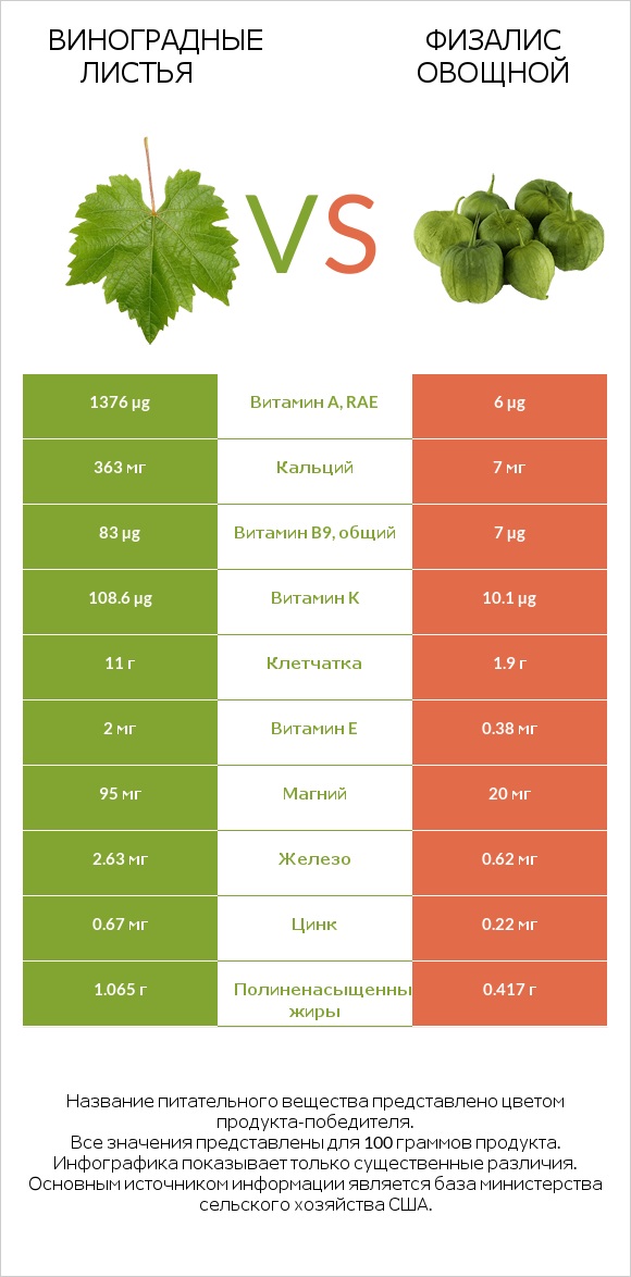 Виноградные листья vs Физалис овощной infographic
