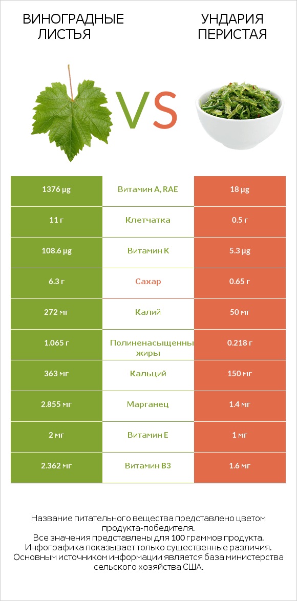 Виноградные листья vs Ундария перистая infographic