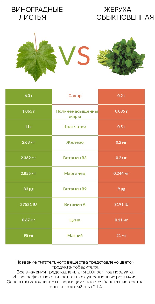 Виноградные листья vs Жеруха обыкновенная infographic