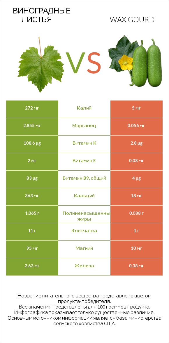 Виноградные листья vs Wax gourd infographic