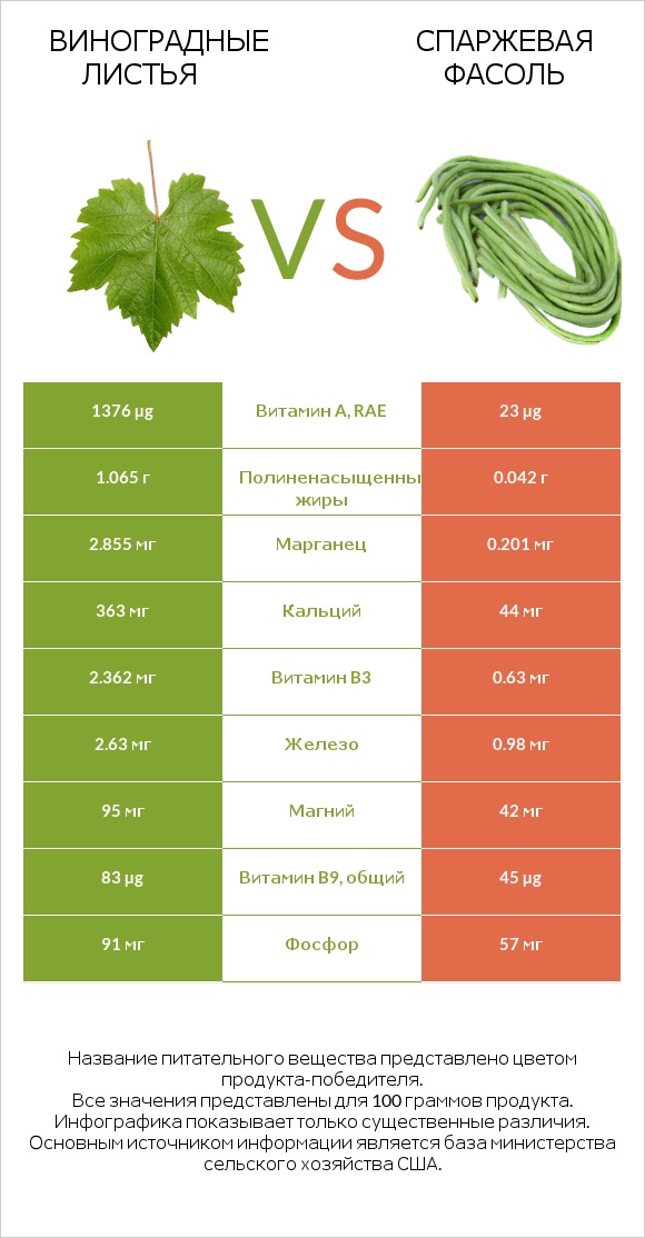 Виноградные листья vs Спаржевая фасоль infographic