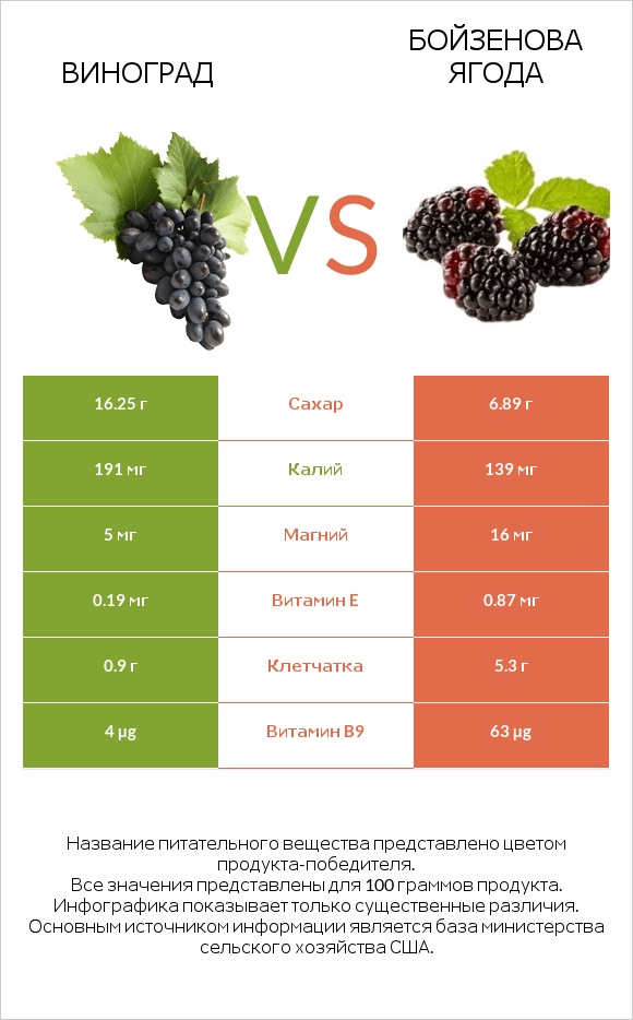 Виноград vs Бойзенова ягода infographic