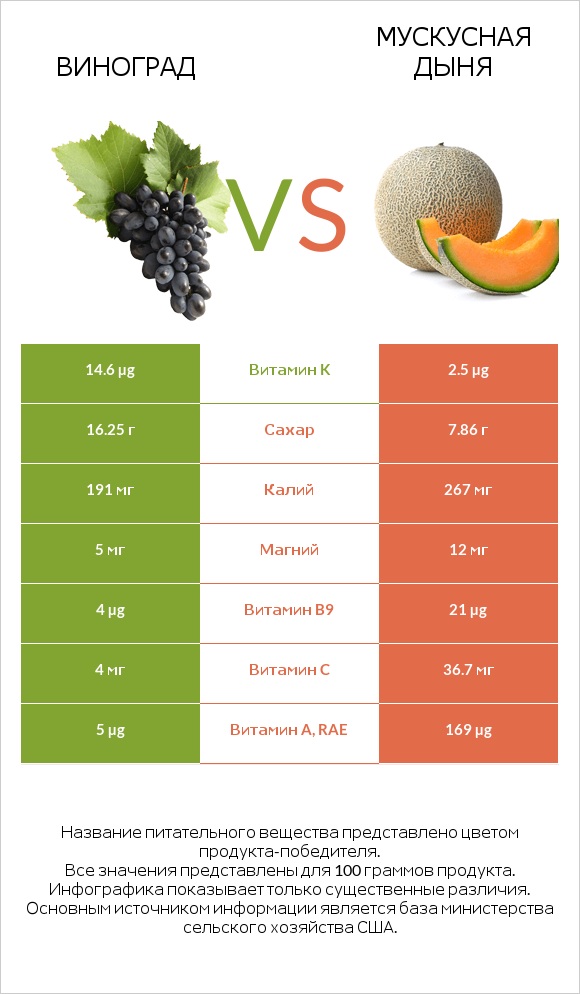 Виноград vs Мускусная дыня infographic