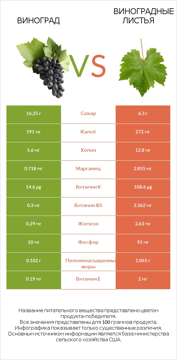 Виноград vs Виноградные листья infographic